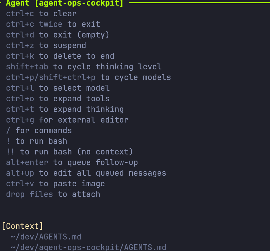 The agent pane's rules list: keybindings, then the AGENTS.md files, skill files and prompts loaded for this repository